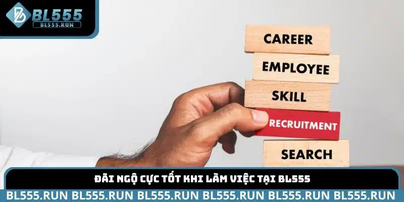Đãi ngộ cực tốt khi làm việc tại BL555