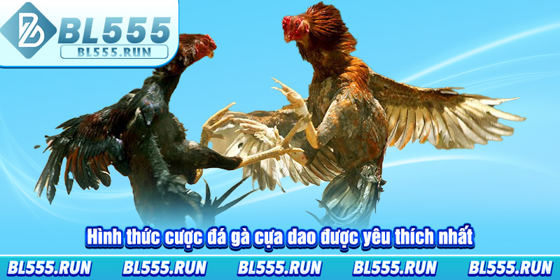 Hình thức cược đá gà cựa dao được yêu thích nhất
